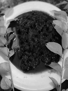 Beetroot Pickle (500ml)