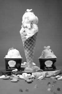 Dairydon Special Scoop Icecream