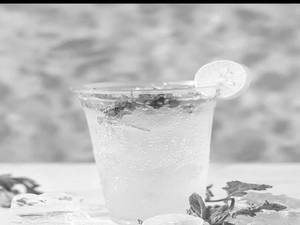 Mint Mojito (500 Ml)