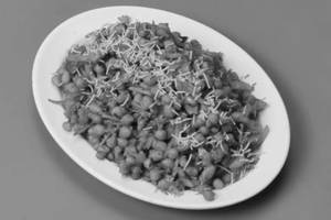 Nippat Bhel