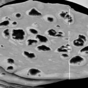 Tawa Chapati Butter