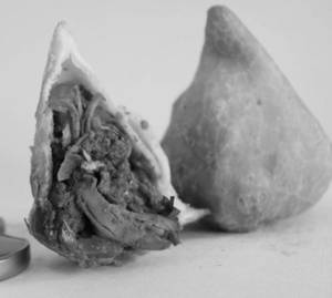 Cheese Paneer Samosa (3 Pieces)