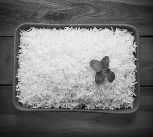 Plain Rice