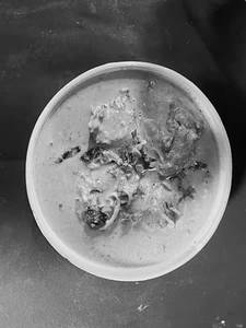 Malvani Chicken Curry