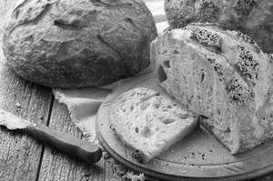 Sour Dough Bread