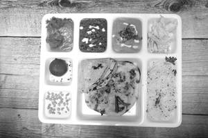 Special Lunch/dinner Thali