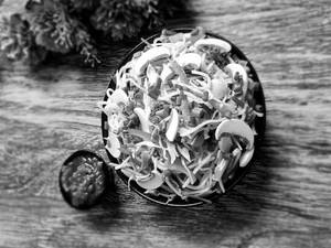 Mushroom Noodles