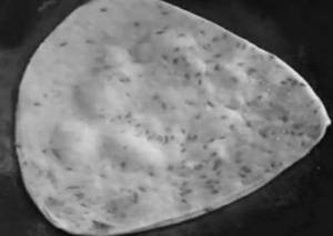 Butter Paratha