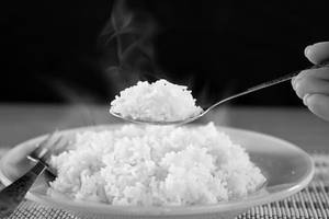 Plain Rice