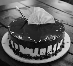 Soft Truffle Cake