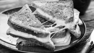 Cheese Sandwich
