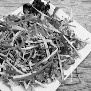 Stick Salad