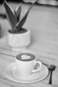 Piccolo Latte