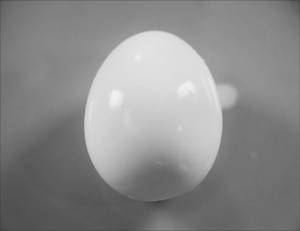 Boiled Egg