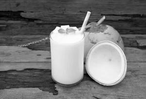 Tendor Coconut Milkshake