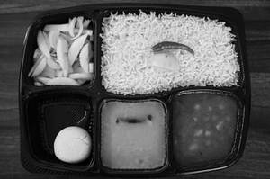 Veg Rice Meal