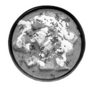 Paneer Masala