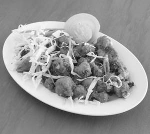 Gobi 65