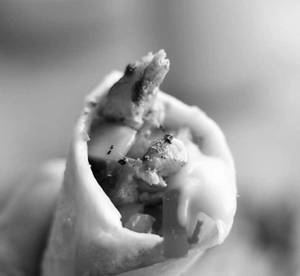 Chicken Shawarma Roll