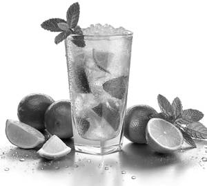Virgin Mojito  