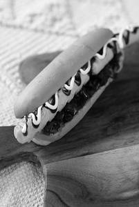 BBQ Dog