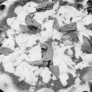 Jain Margarita Pizza