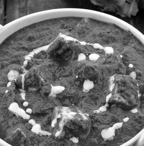 Palak Paneer