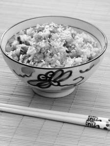 Teppanyaki Garlic Fried Rice