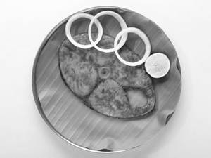 Vanjaram Fry (M)