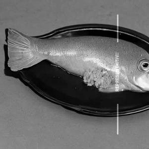 Apollo Fish 