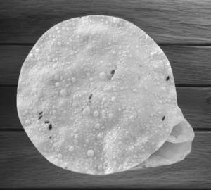 Fry Papad