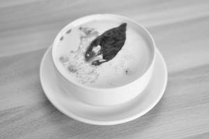 Thai Coconut Soup
