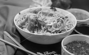 Hakka Noodles - Mix(Chicken & Pork)