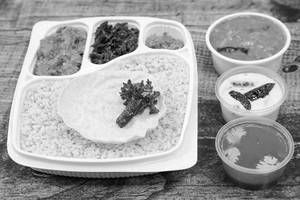 Veg Meals