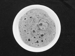 Plain Roti