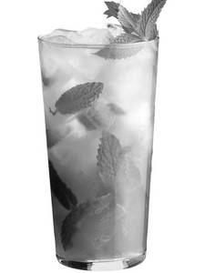 Watermelon Mojito 