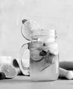 Lemon Mojito