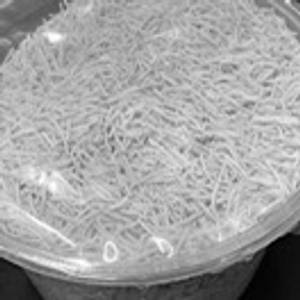 Besan Sev