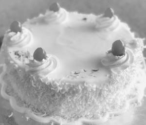 VANILLA PASTRY 1KG