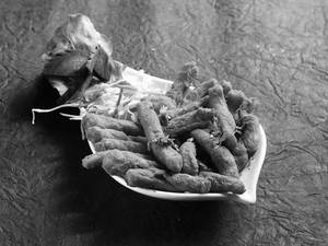 Fish Finger