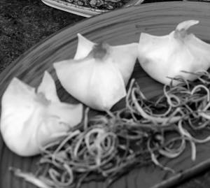 Creme Cheese & Water Chestnut  (5 Pcs)