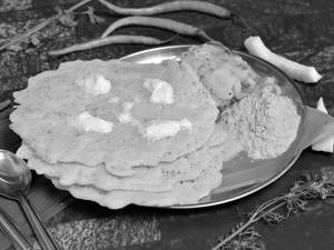 Sponge Loni Dosa