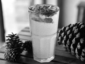 Rainfield'S Mint Mojito Ice Soda