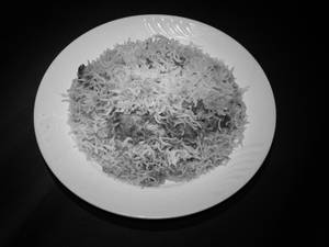 Chicken Biryani [Full]   