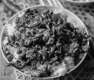 Mushrooms /Chicken / Lamb / Prawns Hot Basil [Signature Dish]