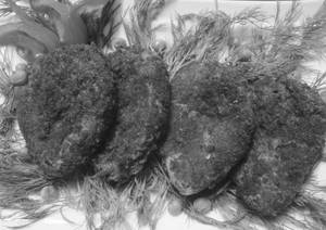 Mutton Cutlet