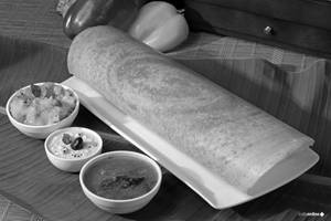 DOSA PLAIN1