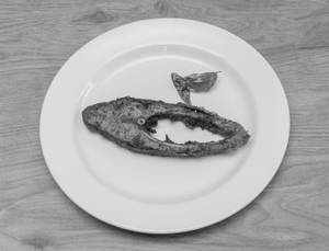 Fish Fry
