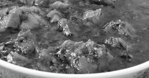 Lemon Chicken Gravy