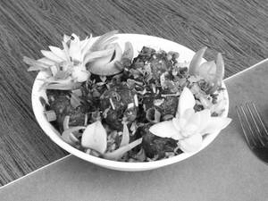 Manchurian Dry